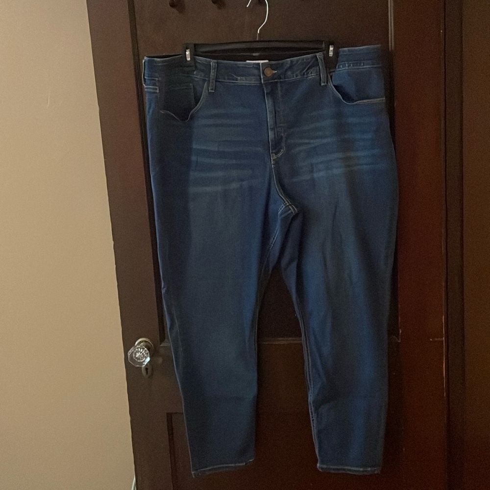 EUC Ana & Vic 24w jeans